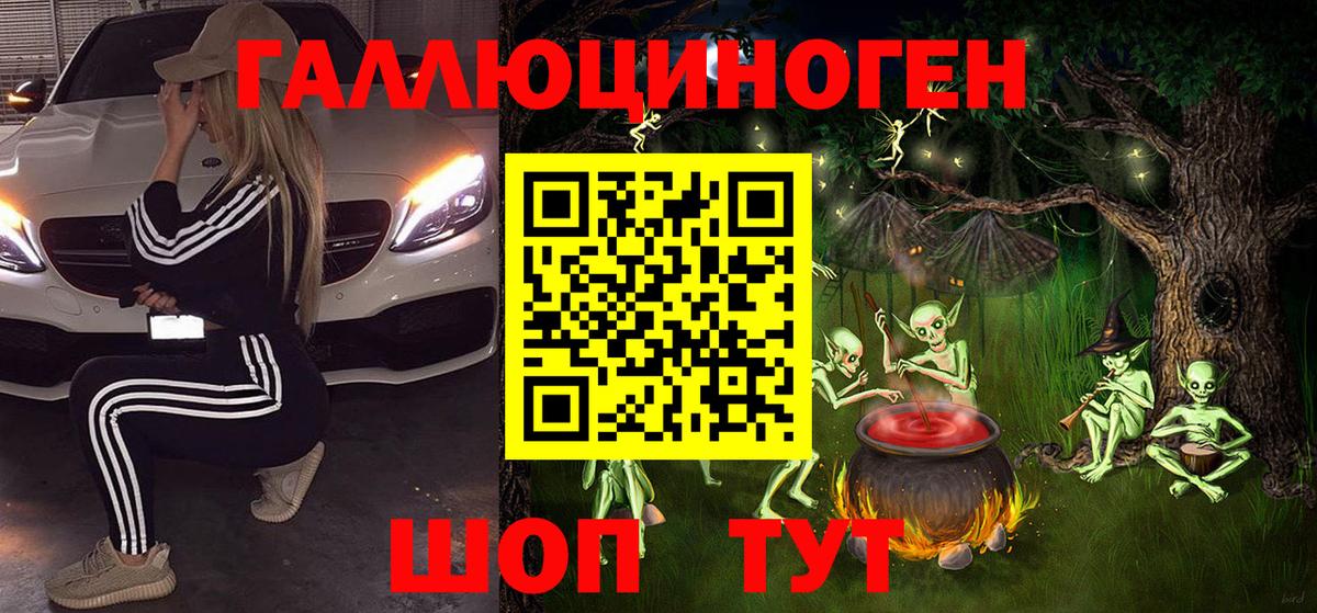 закладки  Вход с VPN  Галлюциногенные грибы Magic Shrooms  Новокузнецк  Псилоцибиновые грибы GOLDEN TEACHER 